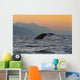 Up Humpback Whale Tail Wall Decal Design 1