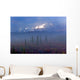 Mt McKinley Wall Decal