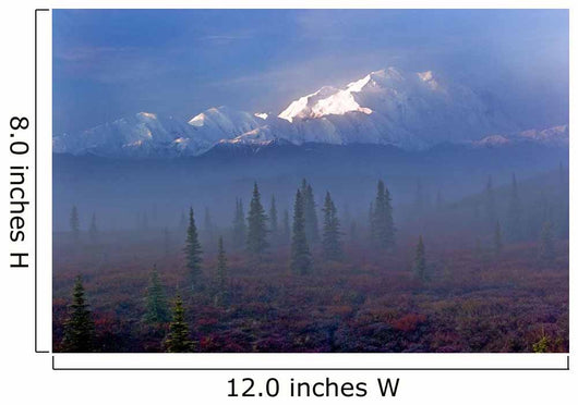 Mt McKinley Wall Decal