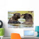 Bears Playing Alaska Wildlife Wall Decal