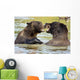 Bears Playing Alaska Wildlife Wall Decal