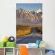 Scenic Haines Highway Southeast Wall Decal