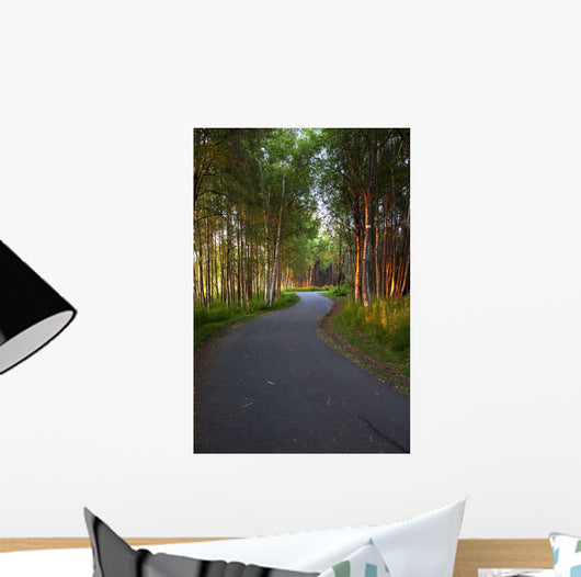 Paved Path Winding through Wall Decal