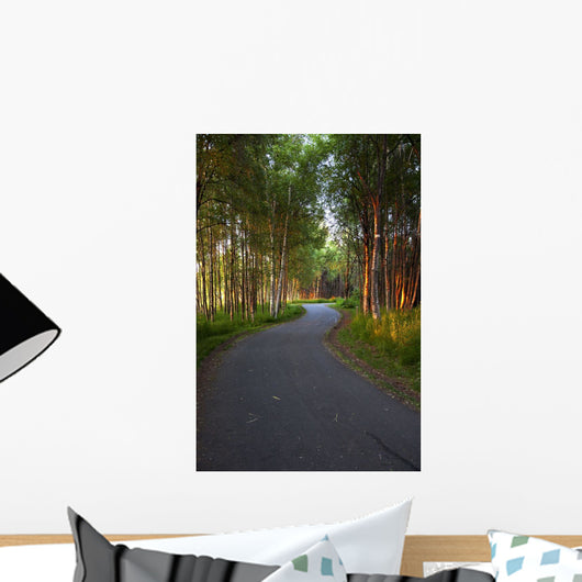 Paved Path Winding through Wall Decal