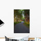 Paved Path Winding through Wall Decal