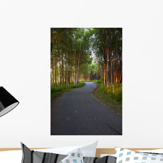 Paved Path Winding through Wall Decal