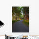 Paved Path Winding through Wall Decal