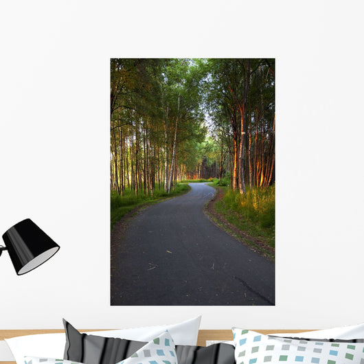 Paved Path Winding through Wall Decal