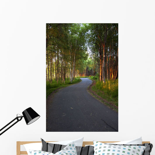 Paved Path Winding through Wall Decal