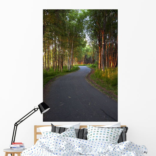 Paved Path Winding through Wall Decal