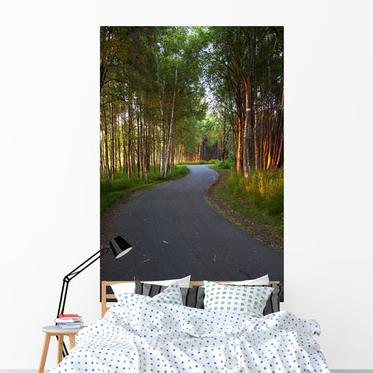 Paved Path Winding through Wall Decal