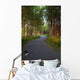 Paved Path Winding through Wall Decal
