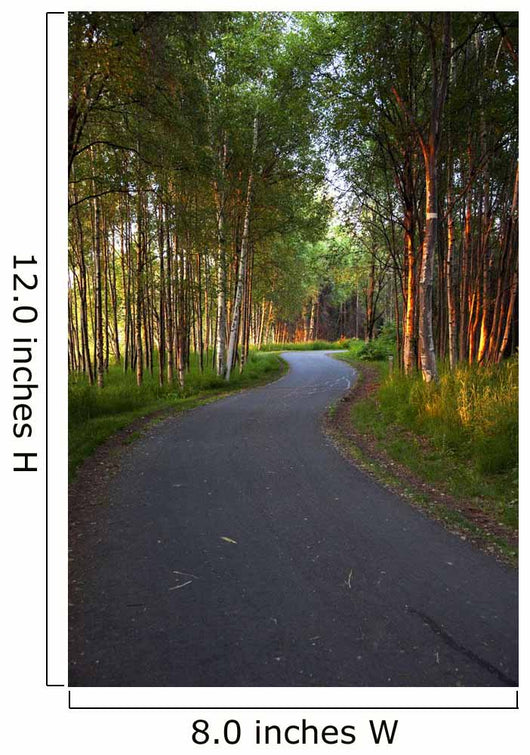 Paved Path Winding through Wall Decal