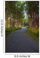 Paved Path Winding through Wall Decal