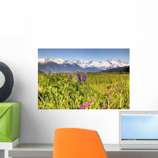 Scenic Wildflower Meadow and Wall Decal