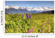 Scenic Wildflower Meadow and Wall Decal