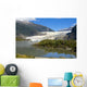 Mendenhall Glacier near Juneau Wall Decal