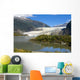 Mendenhall Glacier near Juneau Wall Decal