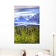 Scenic Matanuska Glacier as Wall Decal