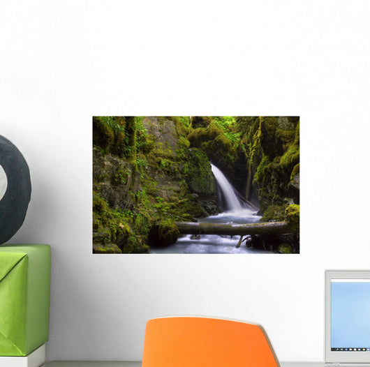 Virgin Creek Falls near Wall Decal