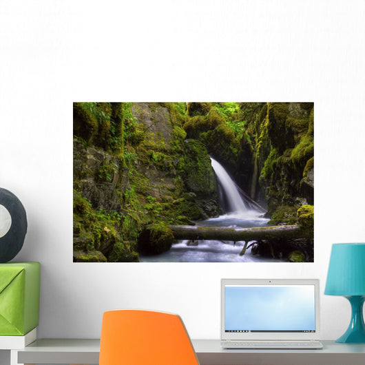 Virgin Creek Falls near Wall Decal