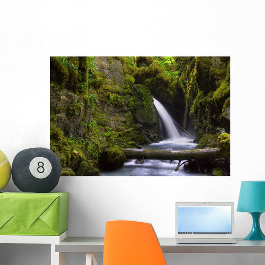 Virgin Creek Falls near Wall Decal