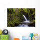 Virgin Creek Falls near Wall Decal