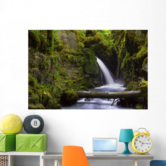 Virgin Creek Falls near Wall Decal
