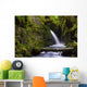 Virgin Creek Falls near Wall Decal