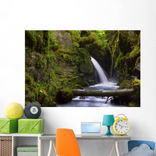 Virgin Creek Falls near Wall Decal