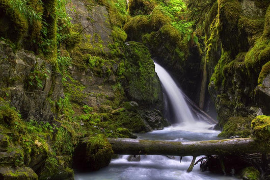 Virgin Creek Falls near Wall Decal