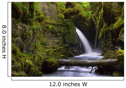 Virgin Creek Falls near Wall Decal