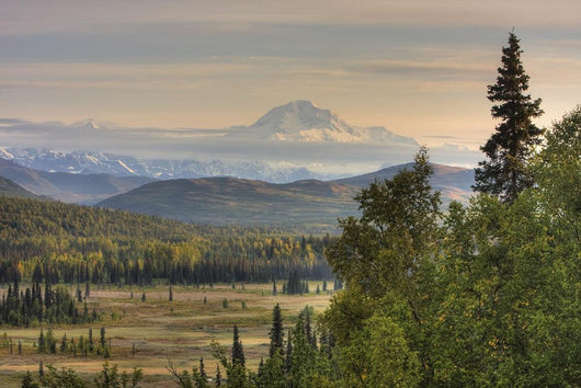 Scenic Mt McKinley Just Wall Decal