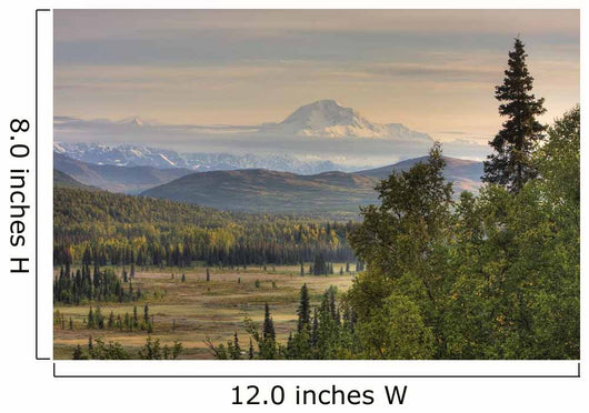 Scenic Mt McKinley Just Wall Decal