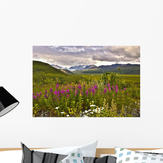 Scenic Gulkana Glacier Wall Decal