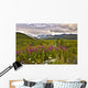 Scenic Gulkana Glacier Wall Decal