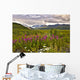 Scenic Gulkana Glacier Wall Decal