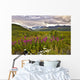 Scenic Gulkana Glacier Wall Decal
