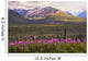 Chugach Mountains with Fireweed Wall Decal