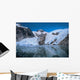 Scenic Northwestern Glacier Wall Decal