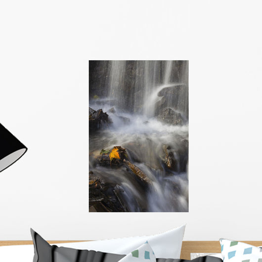 Yellow Salmonberry Leaf Clinging Wall Decal Design 2
