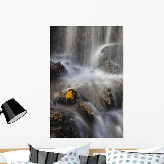 Yellow Salmonberry Leaf Clinging Wall Decal Design 2