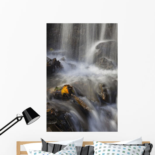 Yellow Salmonberry Leaf Clinging Wall Decal Design 2