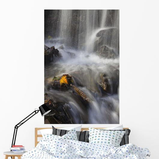 Yellow Salmonberry Leaf Clinging Wall Decal Design 2