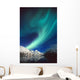 N Lights over Portage Wall Decal