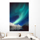 N Lights over Portage Wall Decal