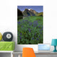 Field Lupine Rudyerd River Wall Decal