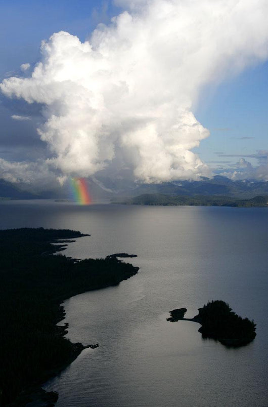 Rainbow Emerges from Thundercloud Wall Decal