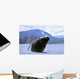 Humpback Wale Breaching Prince Wall Decal