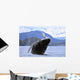 Humpback Wale Breaching Prince Wall Decal
